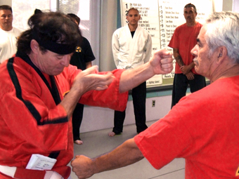 Michel Leblanc Wing Chun Session