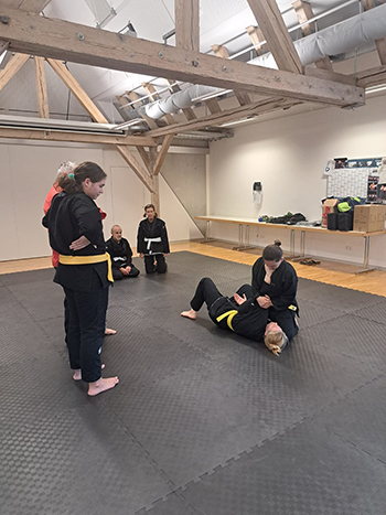 Neurid Jiu-Jitsu Club