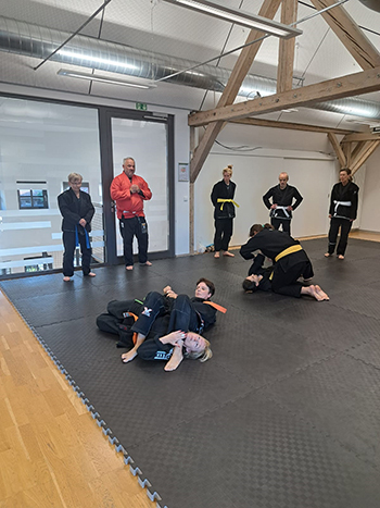 Neurid Jiu-Jitsu Club